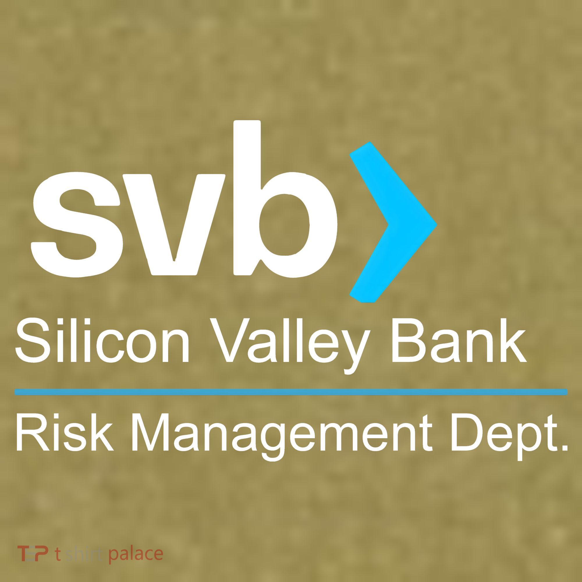 Svb Silicon Valley Bank Risk Management Dept Garment-Dyed Women's Muscle Tee