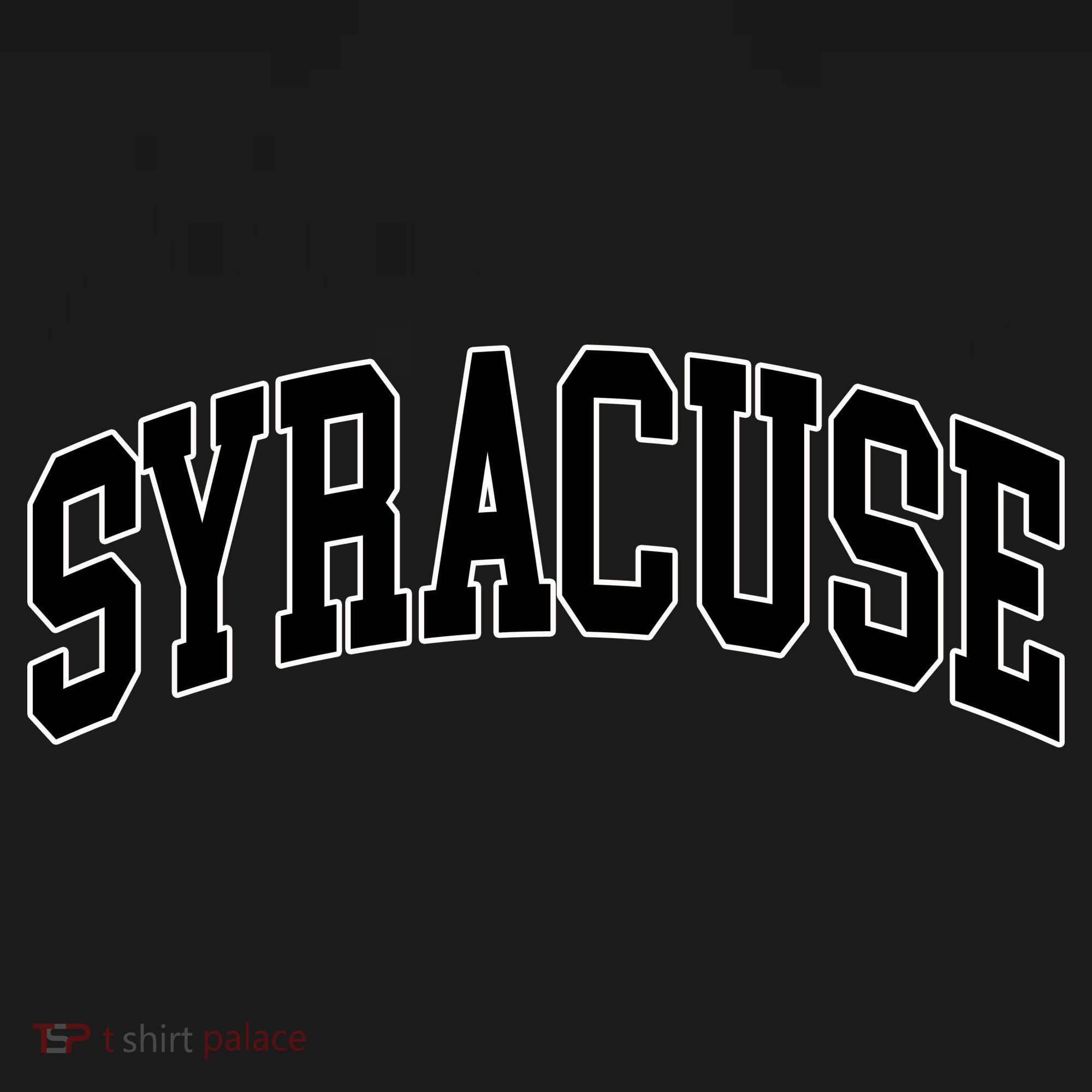 Syracuse USA-Made Doggie Bandana