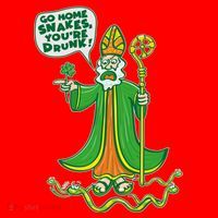St. Patrick Go Home Snakes You're Drunk Santa Hat thumb 1