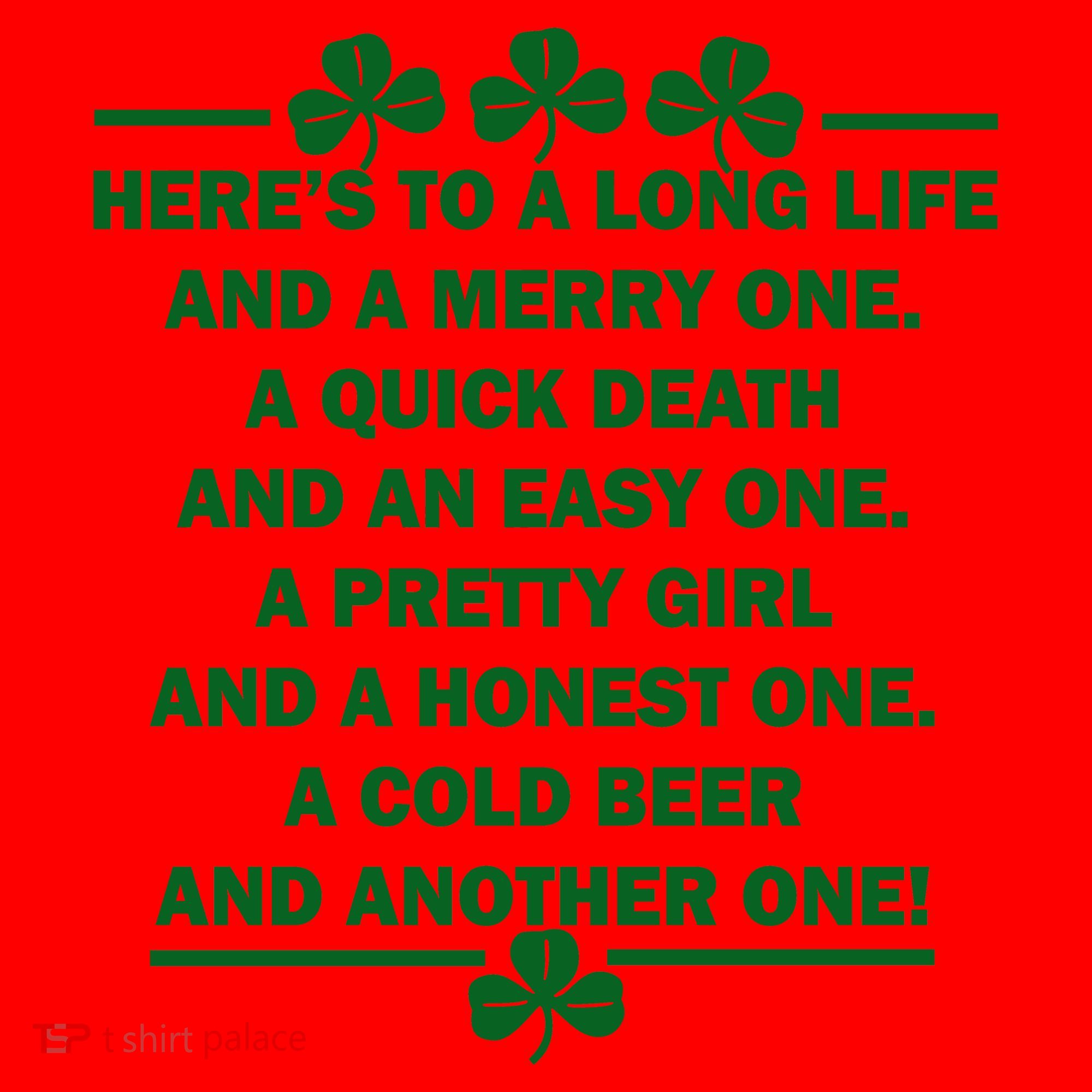 St. Patrick's Day Cold Beer Toast Santa Hat