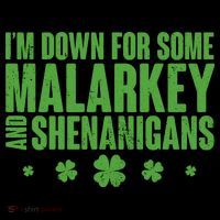 St Patrick's Day I'm Down For Some Malarkey And Shenanigans Toddler Hoodie thumb 2