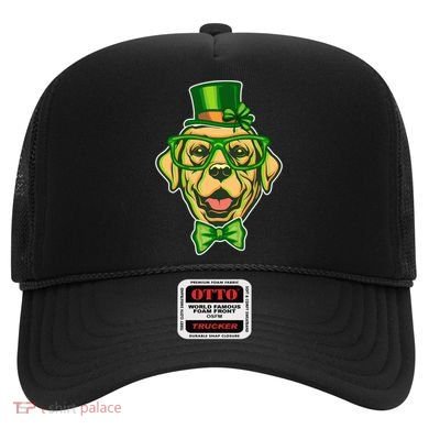 St Patrick's Day Lucky Golden Retriever Dog Hat