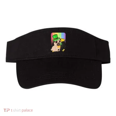 Visor