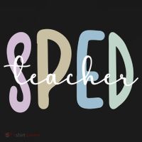 Sped Teacher Appreciation Special Education Teacher Gift Ornament thumb 1