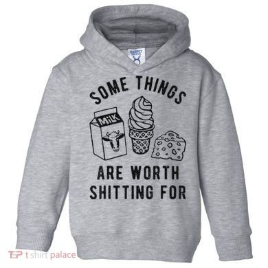 Some Things Are Worth Shitting For Toddler Hoodie