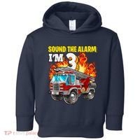 Sound The Alarm Im 3 3rd Birthday Fireman Firetruck Boy Toddler Hoodie thumb 0