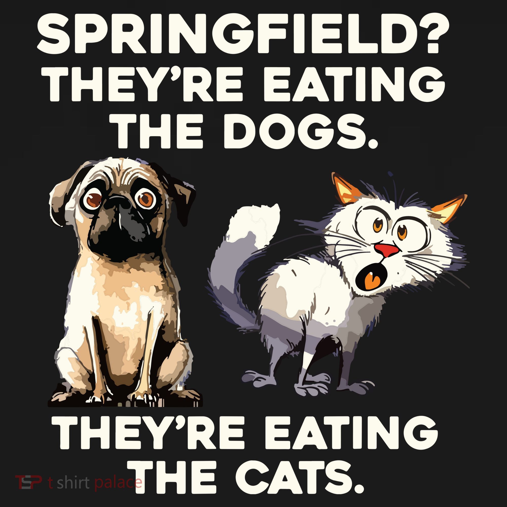 Springfield They Are Eating Dogs They Are Eating The Cats Women's Hoodie