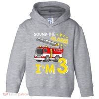 Sound The Alarm Im Three 3rd Birthday Firefighter Lover Toddler Hoodie thumb 0