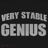 Stable Genius Pajama Set thumb 2