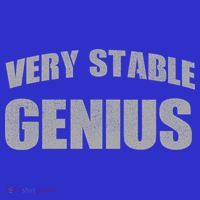 Stable Genius Women's Long Sleeve Shirt thumb 2