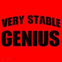 Stable Genius Santa Hat thumb 1