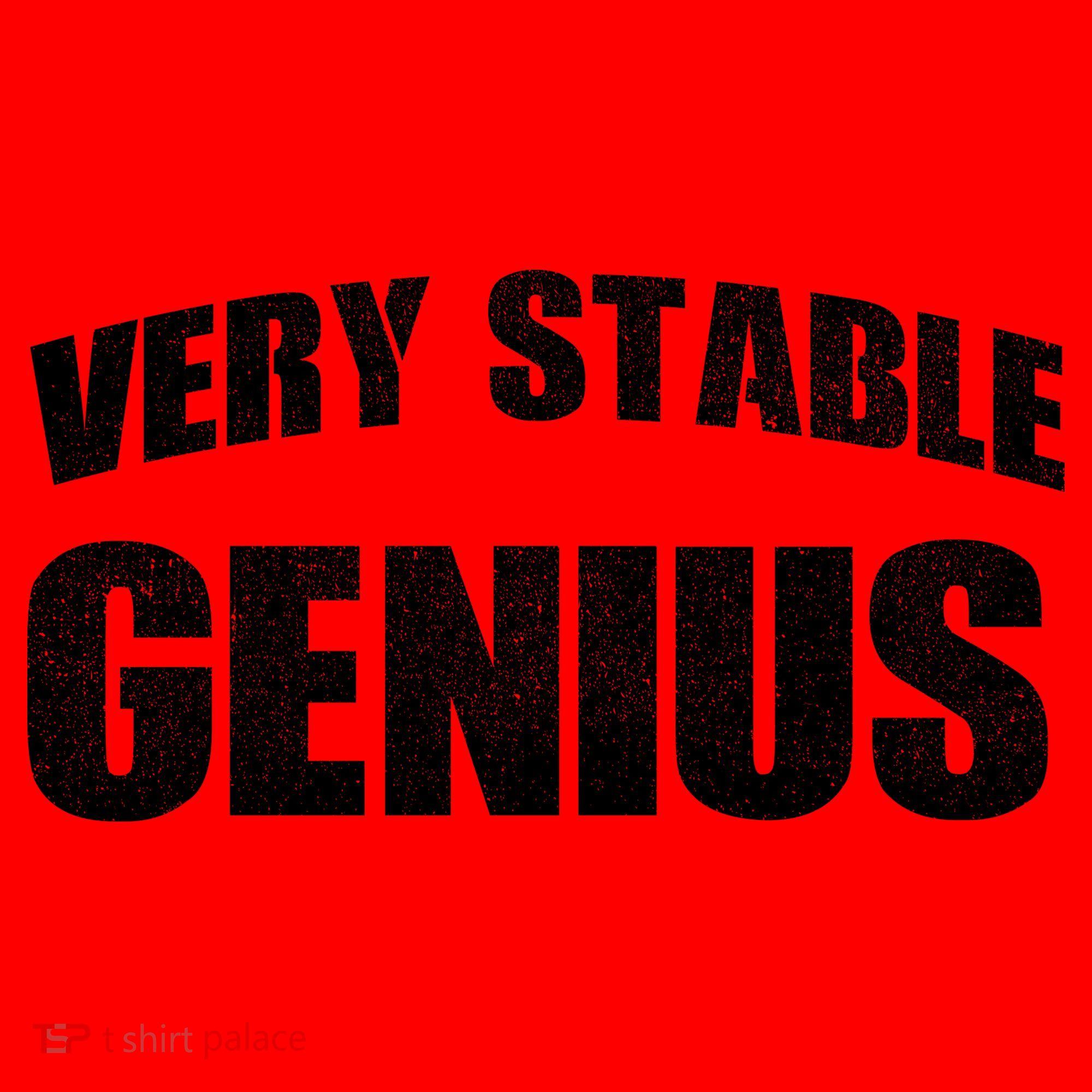 Stable Genius Santa Hat