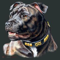 Stafford Bull Terrier Kids Sweatshirt thumb 2