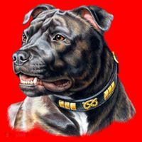 Stafford Bull Terrier Santa Hat thumb 1