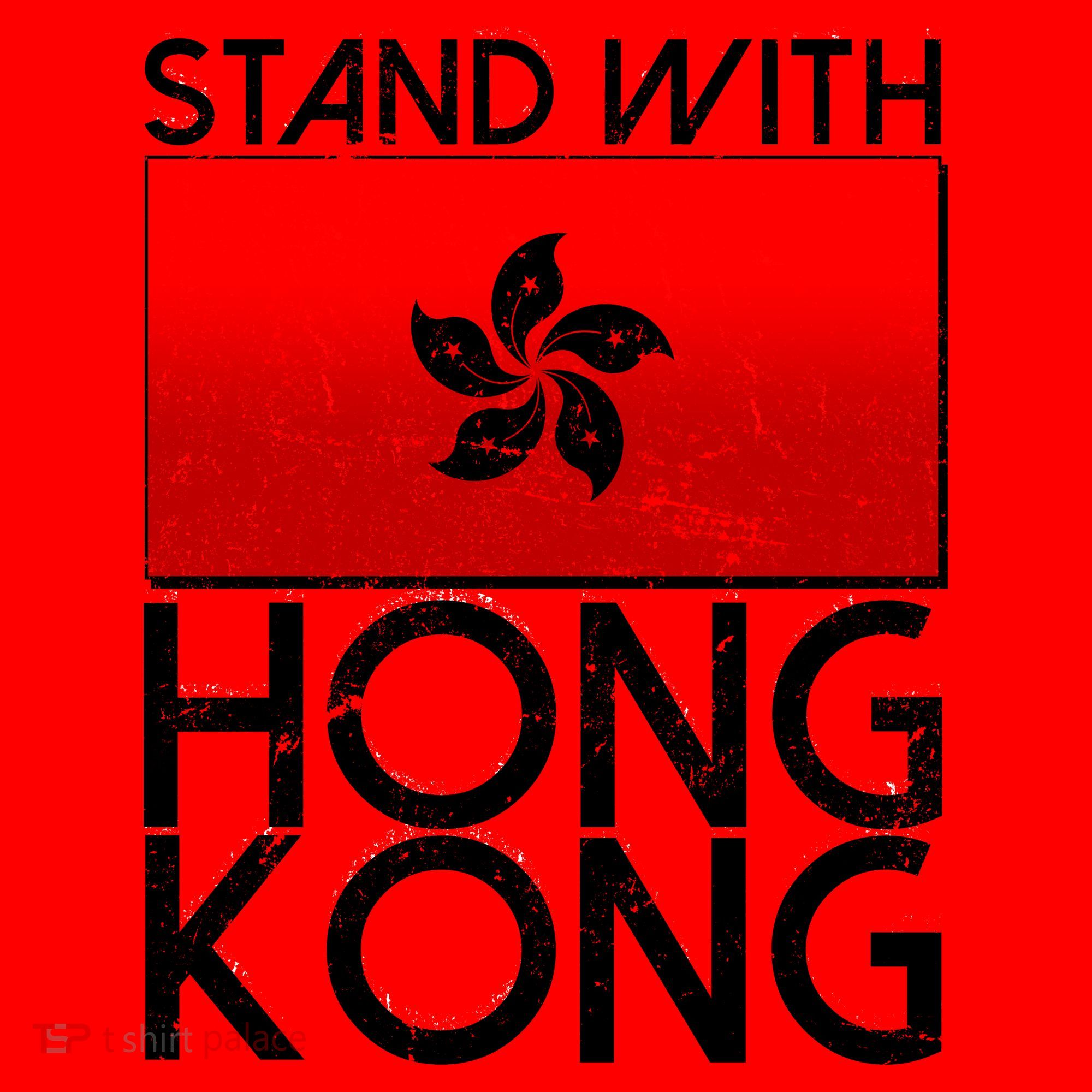 Stand With Hong Kong Pro Democracy Santa Hat