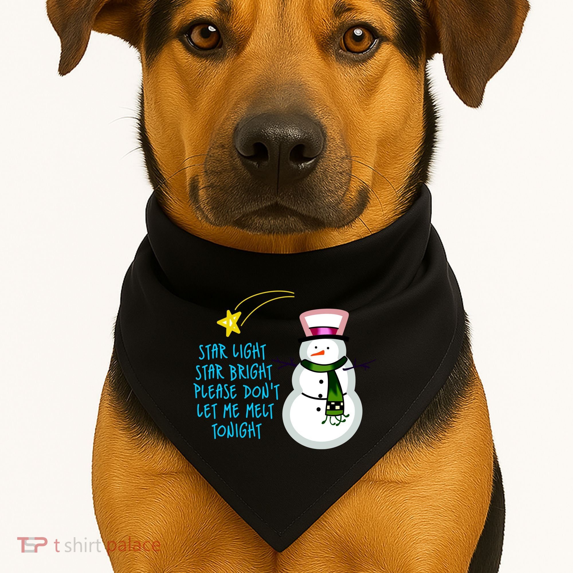 Star Light Star Bright Please Don't Let Me Melt Tonight Snowman USA-Made Doggie Bandana
