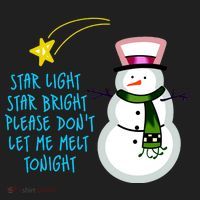 Star Light Star Bright Please Don't Let Me Melt Tonight Snowman Tumbler thumb 3
