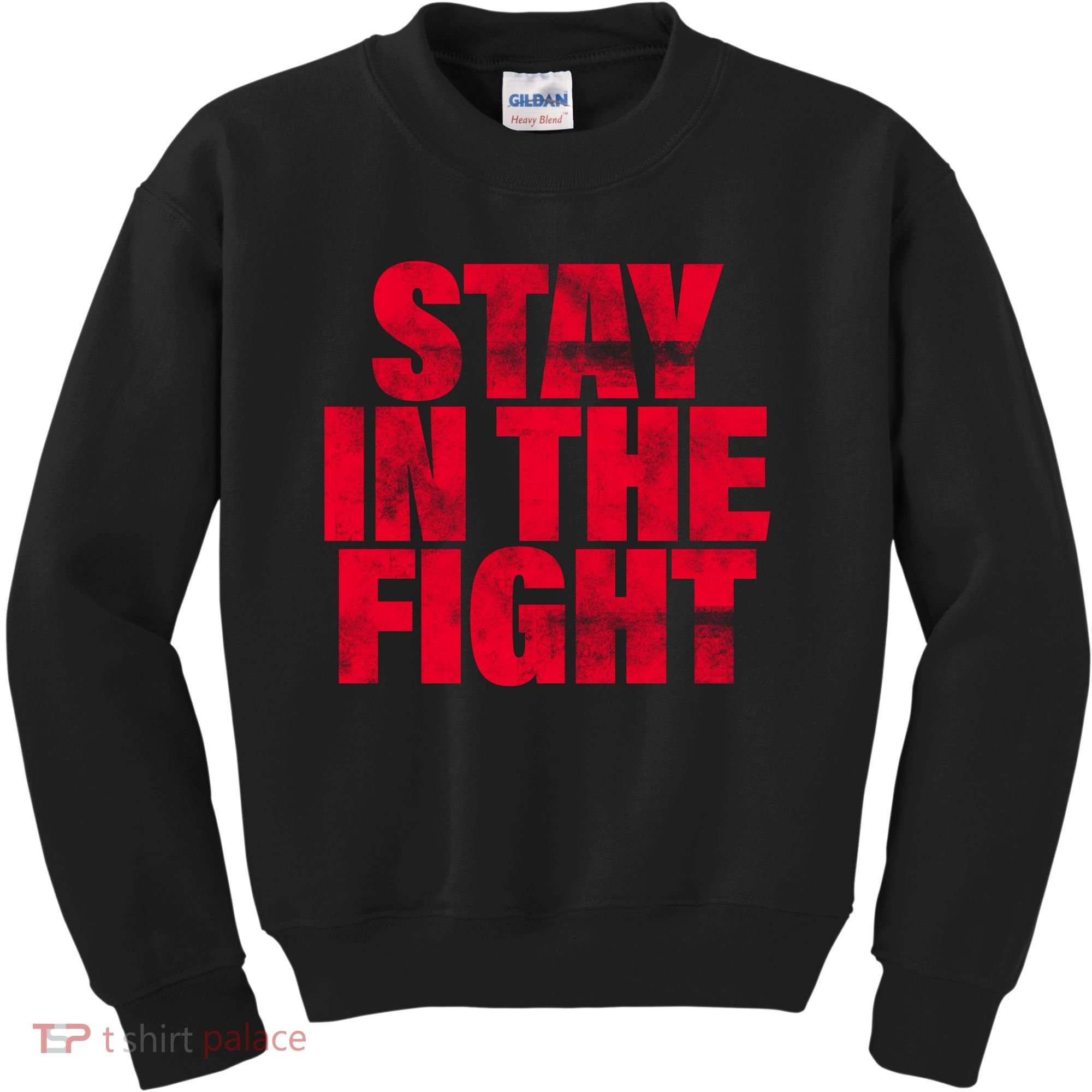 Stay In The Fight Washington D.C. Baseball Fan Kids Sweatshirt
