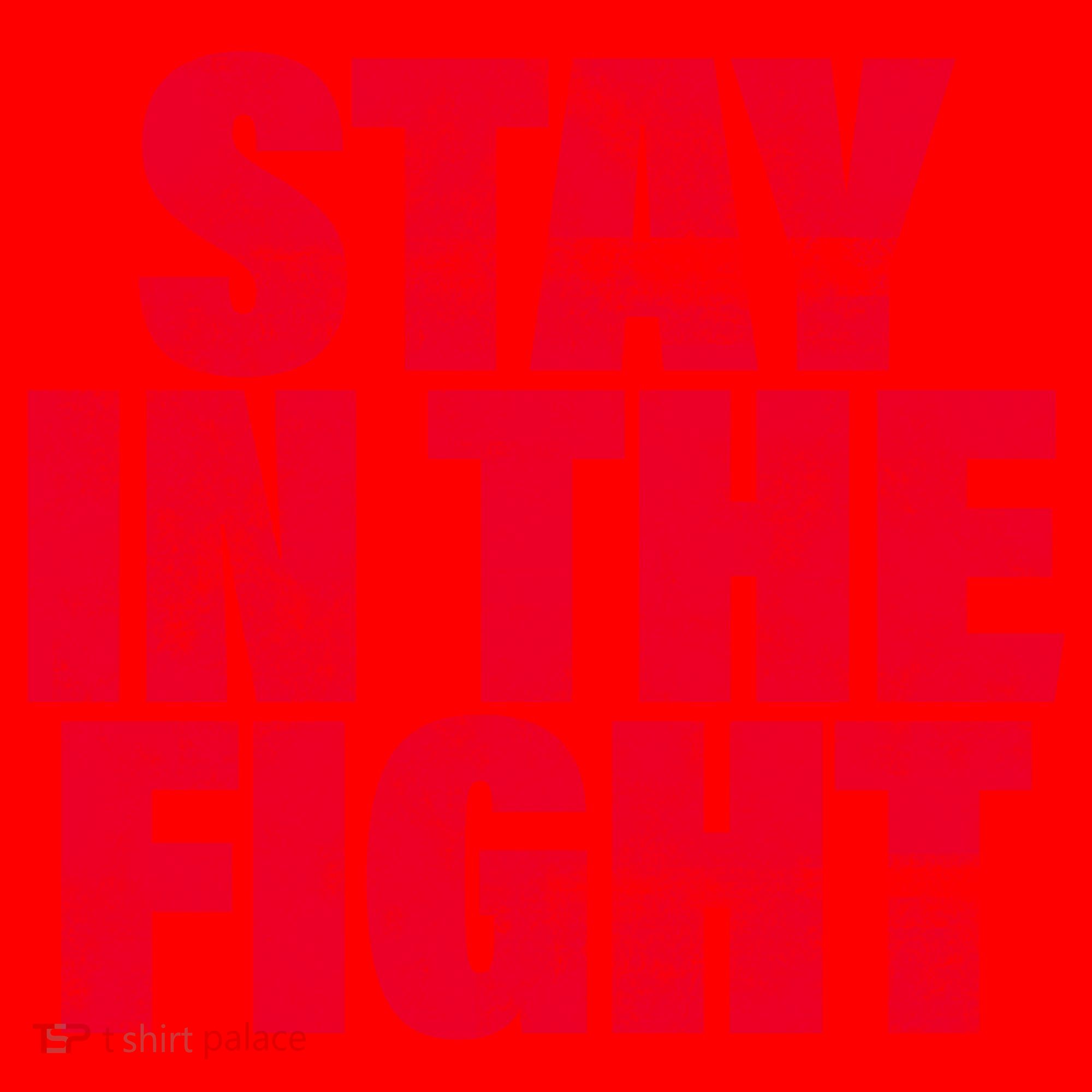 Stay In The Fight Washington D.C. Baseball Fan Santa Hat