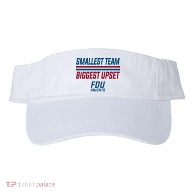 Visor