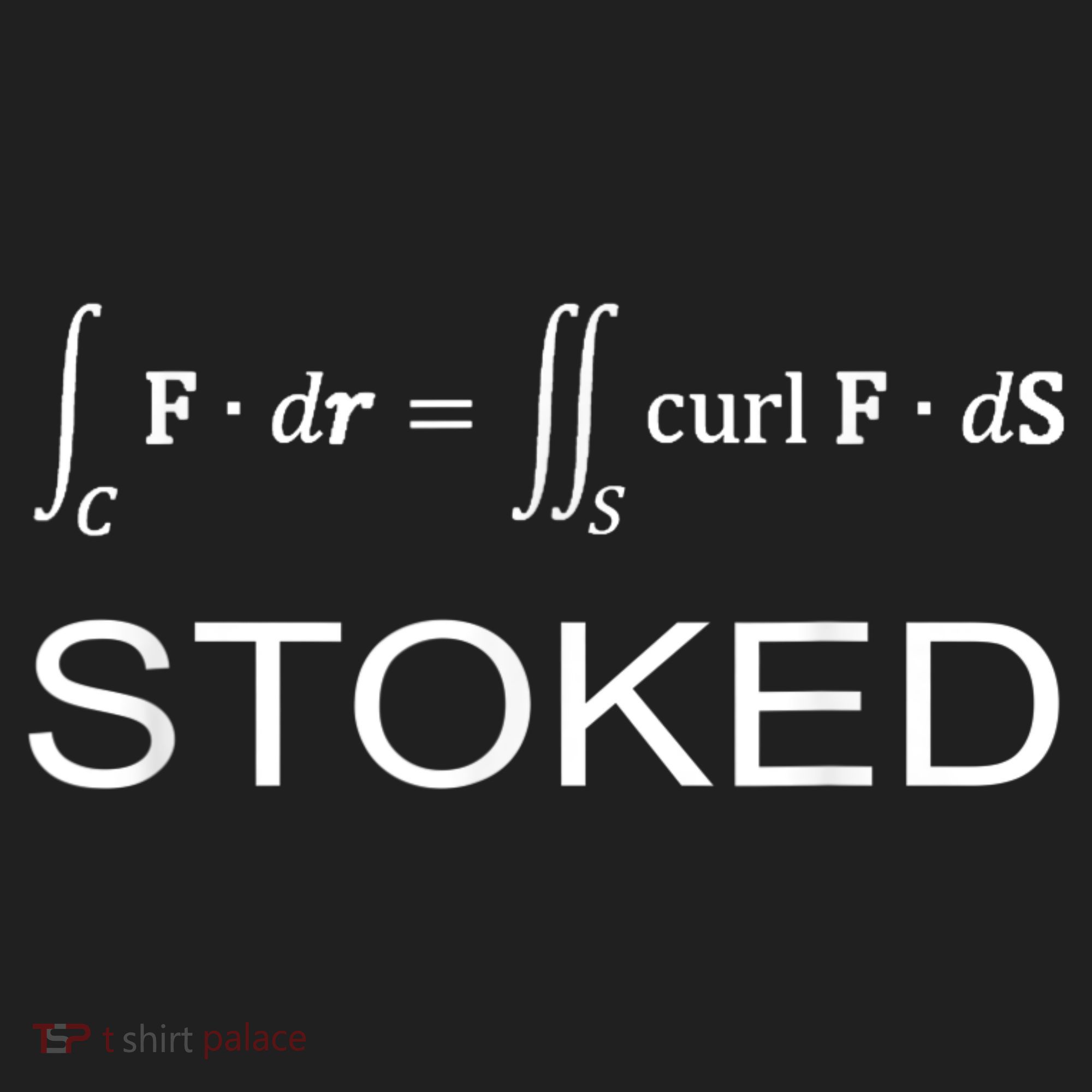 Stokes Theorem Calculus Math Teacher Engineer Hat