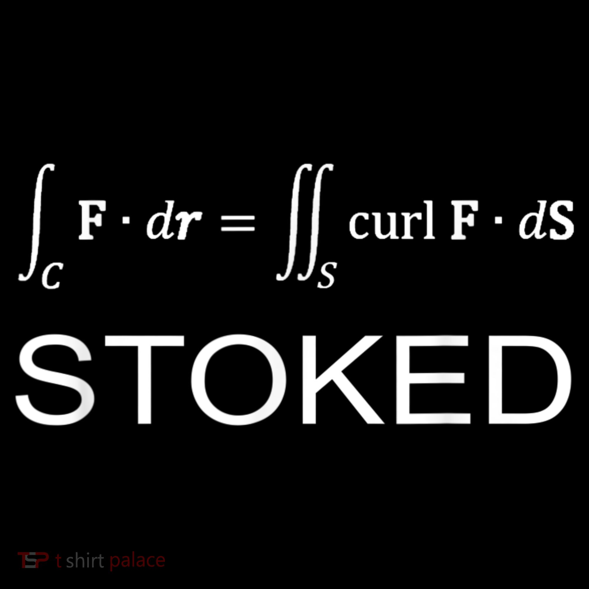 Stokes Theorem Calculus Math Teacher Engineer Women's T-Shirt