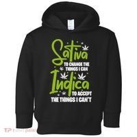 Sativa To Change The Things I Can Indica Cannabis Weed Leaf Toddler Hoodie thumb 0