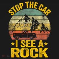 Stop The Car I See A Rock Collector Geology Funny Geologist Hoodie thumb 2