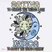 Sativa To Change The Things I Can Indica Cannabis Weed Sun Moon 420 Day Button thumb 1