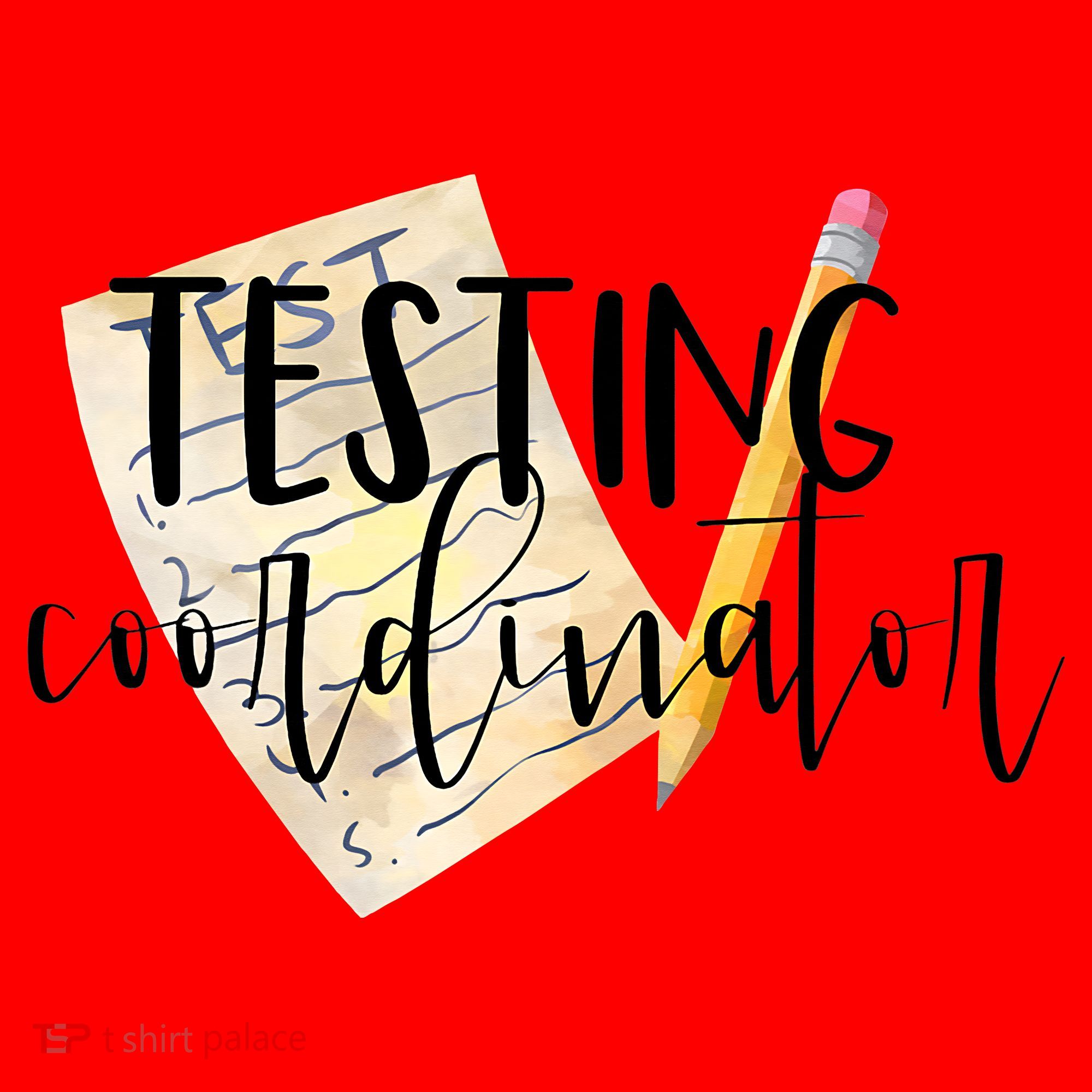 School Testing Coordinator Teacher Tee Santa Hat