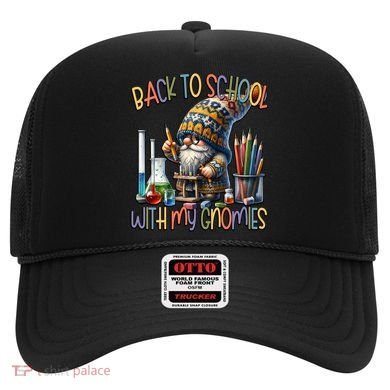 Science Teacher Chemistry Gnome Graphic Funny Back To School Gift Hat