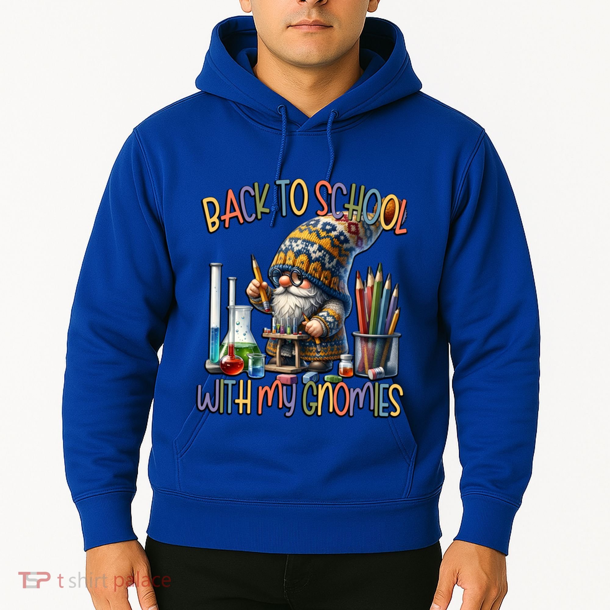 Science Teacher Chemistry Gnome Graphic Funny Back To School Gift Hoodie