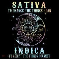 Sativa To Change The Things I Can Indica Cannabis W Women's Hoodie thumb 2