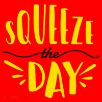 Squeeze The Day Motivation Santa Hat thumb 1