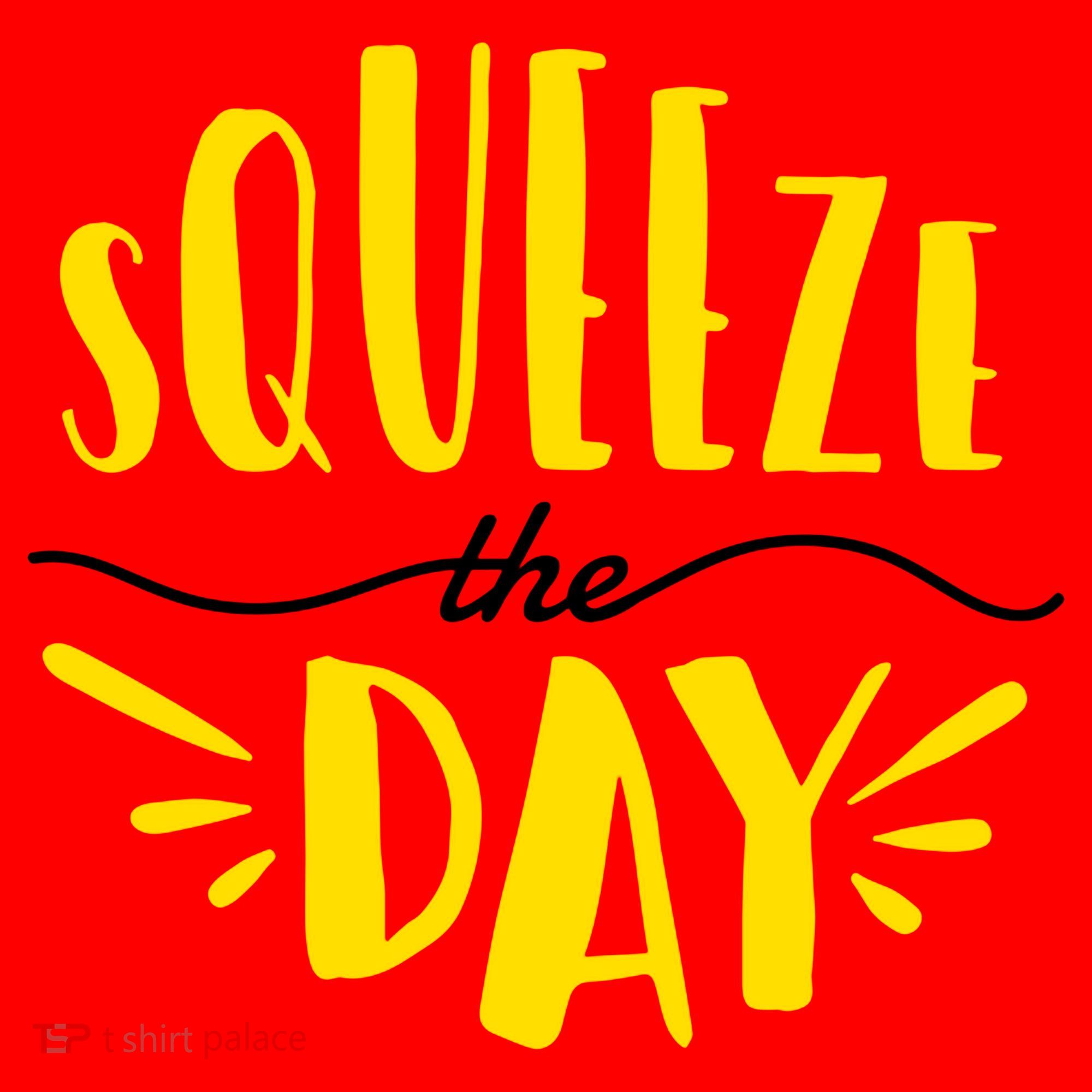 Squeeze The Day Motivation Santa Hat