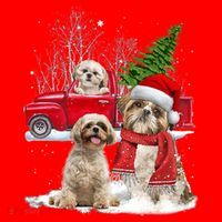 Shih Tzu Dog Riding Red Truck Christmas Tree Xmas Gift Santa Hat thumb 1