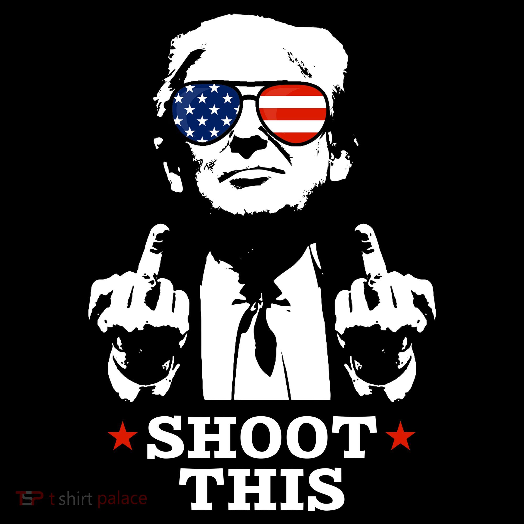 Shoot This Donald Trump You Missed Coaster