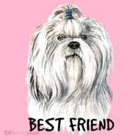 Shih Tzu Dog Coaster thumb 2