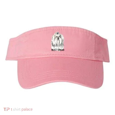 Visor