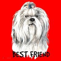 Shih Tzu Dog Santa Hat thumb 1