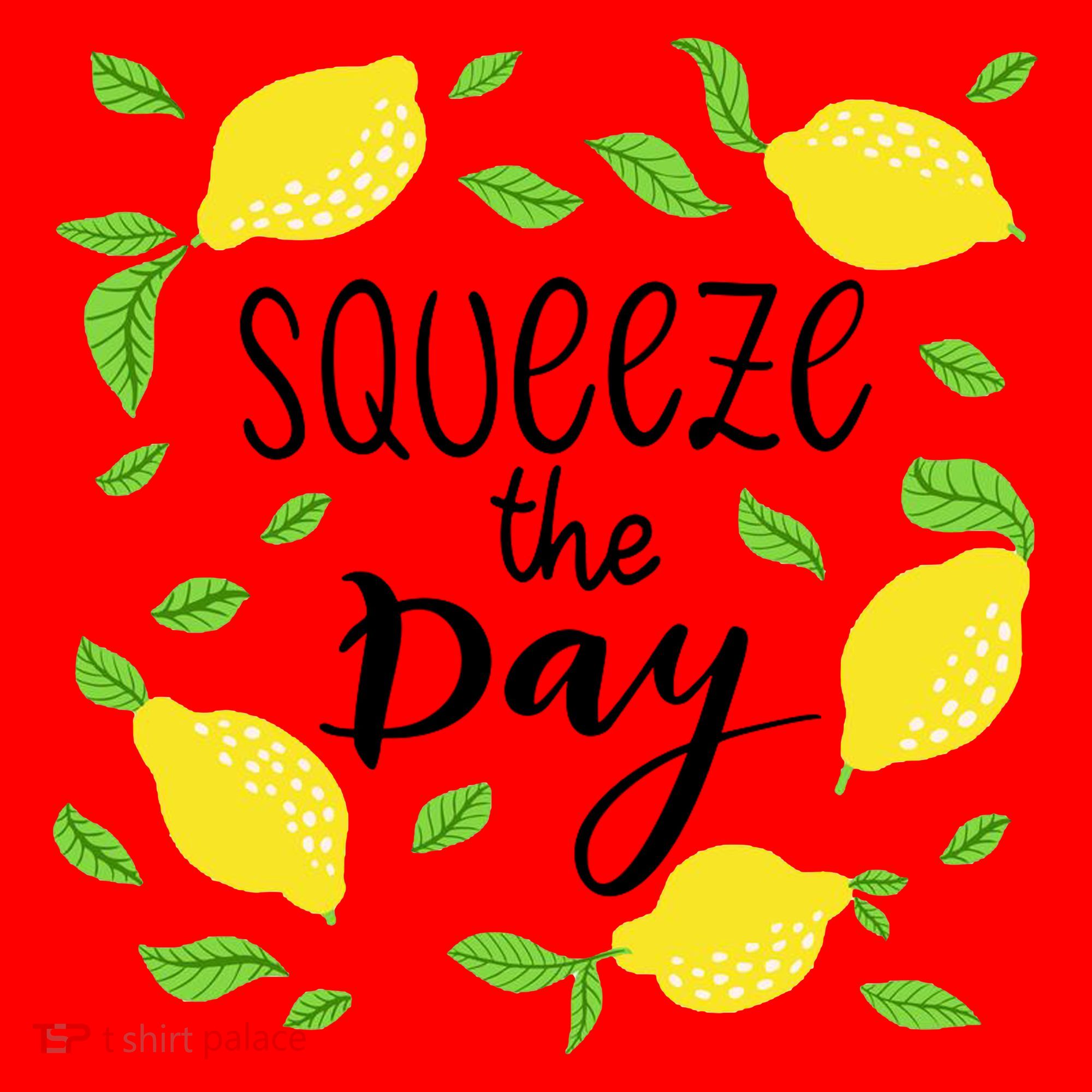 Squeeze The Day Lemons Quote Santa Hat