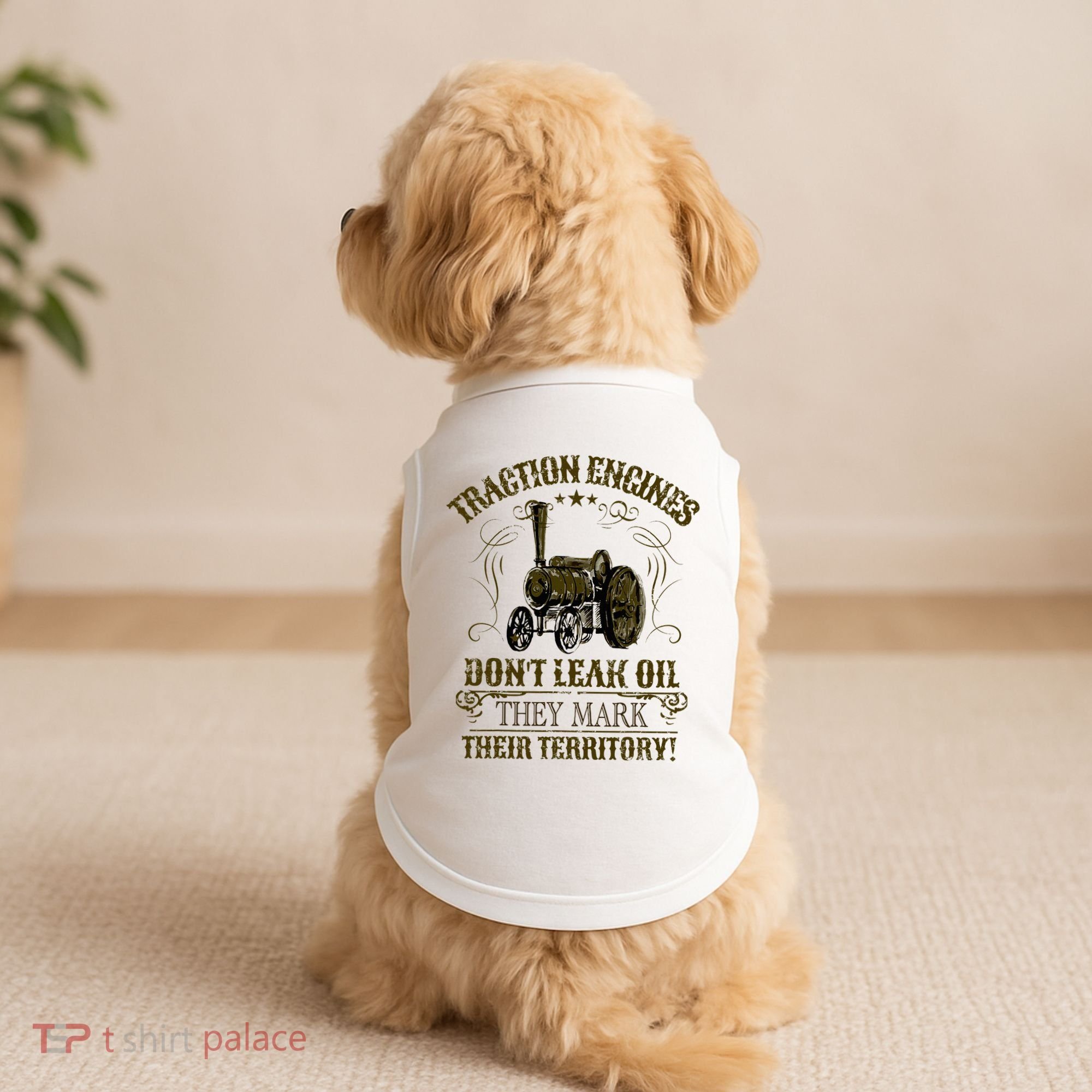 Steam Traction Engine Retirement Idea Steam Engine Doggie Tank
