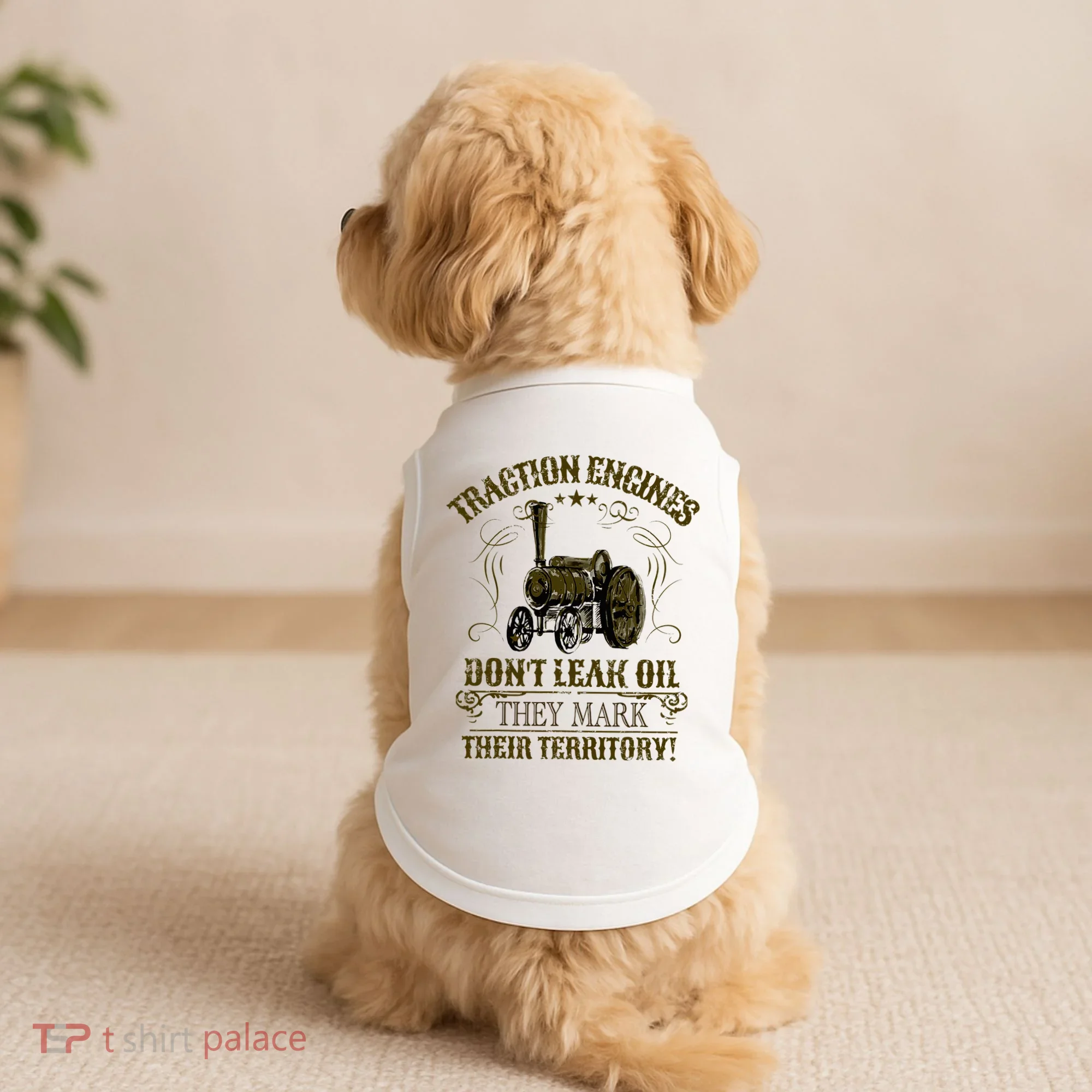 Steam Traction Engine Retirement Idea Steam Engine Doggie Tank
