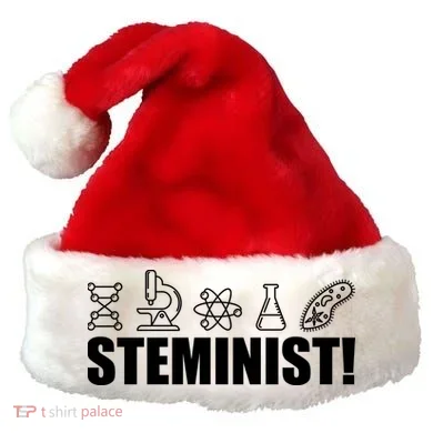 Santa Hat