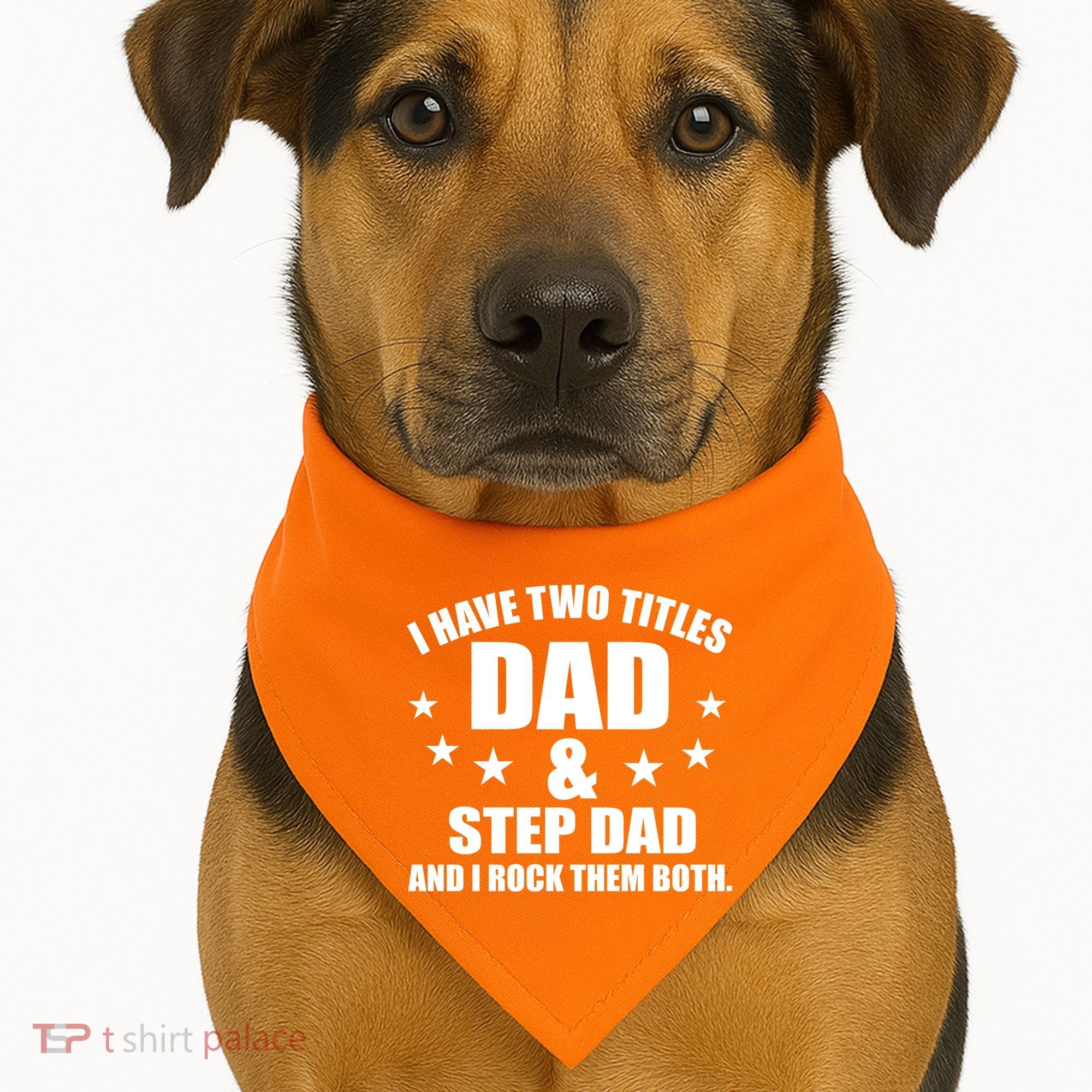 Step Dad Rocks USA-Made Doggie Bandana