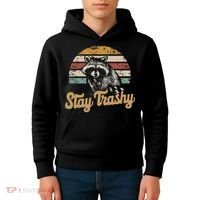 Stay Trashy Funny Opossum Raccoon Internet Memes Funny Meme Kids Hoodie thumb 4