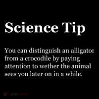 Science Tip Funny Meaning Quote Bucket Hat thumb 4