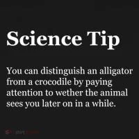 Science Tip Funny Meaning Quote Bucket Hat thumb 4