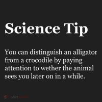 Science Tip Funny Meaning Quote Beanie thumb 2