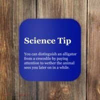 Science Tip Funny Meaning Quote Coaster thumb 0